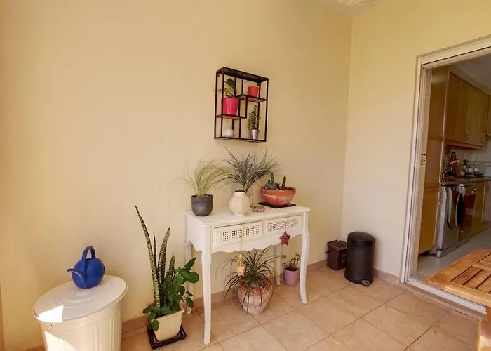 Vacation In Apartman