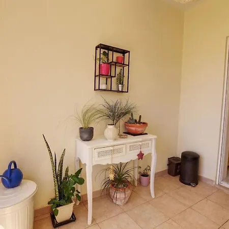 Vacation In Apartment